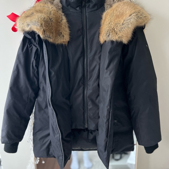 Aritzia Babaton Harrison Parka Black - Picture 2 of 6